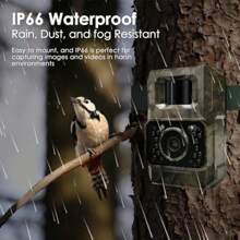 48MP 30FPS WiFi Bluetooth Trail Camera Night Vision IP66 Waterproof Rechargeable Battery Powered Outdoor Wildlife Monitoring Cam No Screen - as pic - View 8