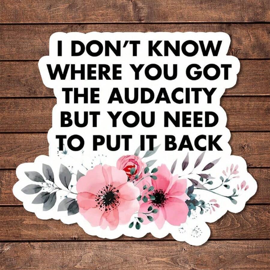 1/2/5pcs I Don't Know Where You Got The Audacity But You Need To Put It Back Sticker | Fun And Quirky Vinyl Decal For Planners, Journals, And Laptops | Cute And Mindful Design For Meditation, Wellness Enthusiasts, And Book Lovers | , Artsy, Positive Affirmation Sticker