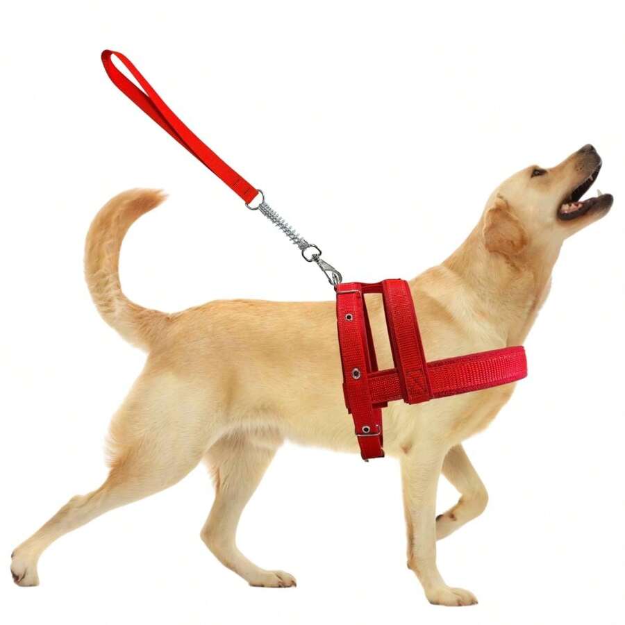 Dog Collar With Walking Lead, Comfortable And Durable Lined Vest - 紅色 - 查看 1