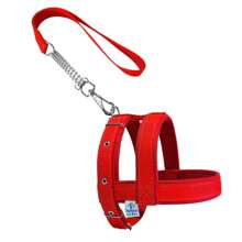 Dog Collar With Walking Lead, Comfortable And Durable Lined Vest - 紅色 - 查看 7