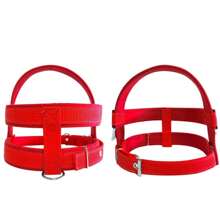 Dog Collar With Walking Lead, Comfortable And Durable Lined Vest - 紅色 - 查看 3