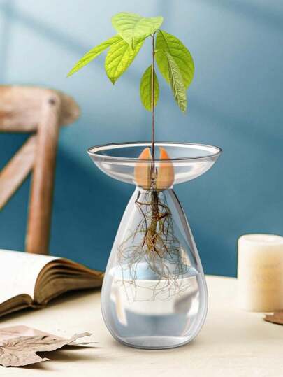 7.5英寸牛油果造型玻璃花瓶，大型牛油果种植盆，玻璃材质，可用作牛油果种子发芽和生长花瓶、室内牛油果种植盆、牛油果种植套装、园艺爱好者礼物、生日毕业礼物、家居装饰、房间装饰花瓶、玻璃花瓶