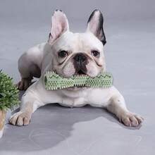 3pcs, Dog Teeth Cleaning Stick - Interactive Grinding Stick, Made Of Durable Thermoplastic Rubber Material, Suitable For All Dog Breeds And Body Types (From Puppies To Adult Dogs), Is An Easy To Clean Pet Oral Care Toy With Anti Slip Design - Multicolor - View 8