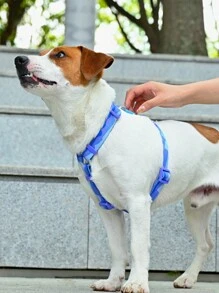 1 Set Verstelbare Hondenharnas Met Riem, Ontsnappingsbestendig, Veilig En Comfortabel Voor Buiten Wandelen