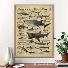 Shark Species Wall Art Poster 1PC - Vintage Ocean Canvas Posters For Home & Office Decor, Optional Frame Educational Marine Life Illustration, Ideal For Bedroom Decor, Living Room Decor, Classroom Decor- Perfect Gift For Sea Life Enthusiasts , Wall Art With Frame