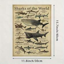Shark Species Wall Art Poster 1PC - Vintage Ocean Canvas Posters For Home & Office Decor, Optional Frame Educational Marine Life Illustration, Ideal For Bedroom Decor, Living Room Decor, Classroom Decor- Perfect Gift For Sea Life Enthusiasts , Wall Art With Frame