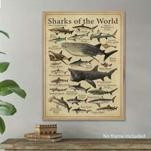 Shark Species Wall Art Poster 1PC - Vintage Ocean Canvas Posters For Home & Office Decor, Optional Frame Educational Marine Life Illustration, Ideal For Bedroom Decor, Living Room Decor, Classroom Decor- Perfect Gift For Sea Life Enthusiasts , Wall Art With Frame