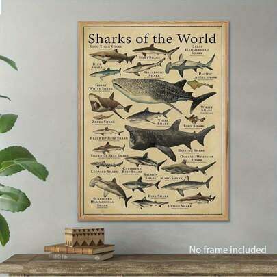 1pc Vintage Ocean Canvas Poster Of Shark Species, Ideal For Home And Office Decor, Optional Framing, Educational Marine Life Illustration, Perfect Gift For Ocean Life Enthusiasts, Framed Wall Art