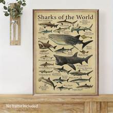 Shark Species Wall Art Poster 1PC - Vintage Ocean Canvas Posters For Home & Office Decor, Optional Frame Educational Marine Life Illustration, Ideal For Bedroom Decor, Living Room Decor, Classroom Decor- Perfect Gift For Sea Life Enthusiasts , Wall Art With Frame