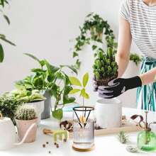 1Set Avocado Tree Growing Kits Hydroponic Seed Holder Nursery Container Set For Outdoor Indoor Planting Gifts Birthday Graduation - Clear - View 3
