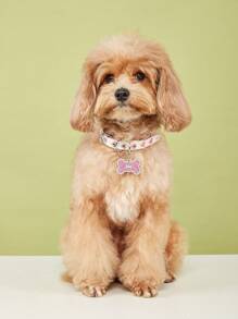 1件装心形提花柔软宠物项圈，适合小型猫狗室内外使用（不适合大型犬） - 淺粉色 - 查看 3