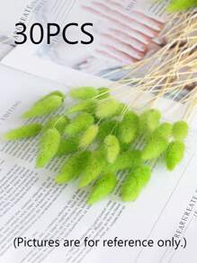 Rabbit Tail Grass Dried Flowers Rabbit Tail Grass Real Flowers Perpetual Flowers Dog Tail Grass Dried Flower Bouquets Wholesale Shooting Props, Ins Bouquets Flowers Home Living Room Decorative Arrangements Dried Arrangements Rabbit Tail Grass Dog Tail Grass Dried Flowers.