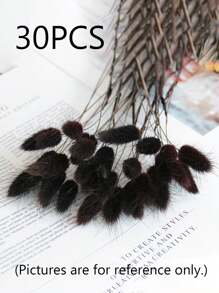 Rabbit Tail Grass Dried Flowers Rabbit Tail Grass Real Flowers Perpetual Flowers Dog Tail Grass Dried Flower Bouquets Wholesale Shooting Props, Ins Bouquets Flowers Home Living Room Decorative Arrangements Dried Arrangements Rabbit Tail Grass Dog Tail Grass Dried Flowers.