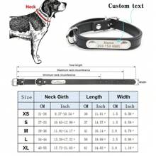 Collare personalizzato per cani con targhetta incisa con nome, antiperso, in pelle PU solida, per cani di piccola, media e grande taglia, cuccioli e gatti, accessori per animali domestici - Multicolore - Visualizzare 3