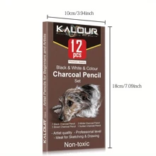 Professional Colored Charcoal Pencils Drawing Set,12 Pieces Pastel Chalk Pencils For Sketching, Shading, Blending, Portrait, Black White Charcoal Pencils For Beginners & Artists,Back To School,School Supplies
