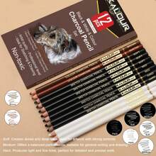 Professional Colored Charcoal Pencils Drawing Set,12 Pieces Pastel Chalk Pencils For Sketching, Shading, Blending, Portrait, Black White Charcoal Pencils For Beginners & Artists,Back To School,School Supplies