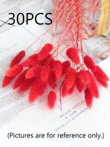 Rabbit Tail Grass Dried Flowers Rabbit Tail Grass Real Flowers Perpetual Flowers Dog Tail Grass Dried Flower Bouquets Wholesale Shooting Props, Ins Bouquets Flowers Home Living Room Decorative Arrangements Dried Arrangements Rabbit Tail Grass Dog Tail Grass Dried Flowers.