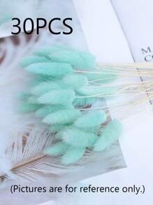 Rabbit Tail Grass Dried Flowers Rabbit Tail Grass Real Flowers Perpetual Flowers Dog Tail Grass Dried Flower Bouquets Wholesale Shooting Props, Ins Bouquets Flowers Home Living Room Decorative Arrangements Dried Arrangements Rabbit Tail Grass Dog Tail Grass Dried Flowers.