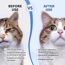 100ml Cat/Dog Lover Gift And Dog/Cat Mom Love Pet Bright Eyes + 200 Pieces Of Cat/Dog Lover Gift And Dog/Cat Mom Love Pet Eye Wipes, Special Dog Lover And Dog Mom Love Eye Cleaning Wipes, Clean Dog Lover And Dog Mom Love Tear Marks, Cat/Dog Lover Gift And Dog/Cat Mom Love Pet Wipes - White - View 8