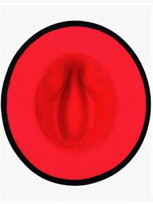 1顶宽檐软呢帽，男女通用，双色拼接，巴拿马毡帽，两种成人尺码可选