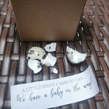 Thông báo mang thai bất ngờ Trứng cút Ý tưởng thông báo em bé vui nhộn Quà tặng dễ thương Tiết lộ giới tính cho ông bà Bố Bạn bè - như hình ảnh - Xem 3