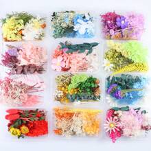 Flores Secas Naturais Coloridas, Artesanatos De Resina Epóxi Para Fazer Em Casa. Buquês, Guirlandas, Velas, Caixas De Presente Para Casamentos Em Familia, Decoração De Flores Secas, Flores Eternas E Decorativas. Conjunto Variado