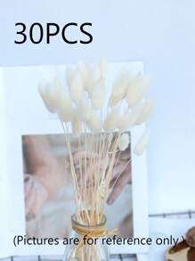 Rabbit Tail Grass Dried Flowers Rabbit Tail Grass Real Flowers Perpetual Flowers Dog Tail Grass Dried Flower Bouquets Wholesale Shooting Props, Ins Bouquets Flowers Home Living Room Decorative Arrangements Dried Arrangements Rabbit Tail Grass Dog Tail Grass Dried Flowers.
