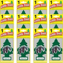 Little Trees Auto Air Freshener, Hanging Card, Royal Pine Pack Of 12 - Multicolor - View 1