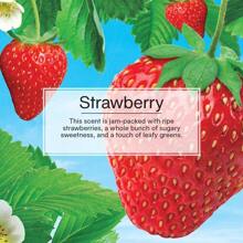 Little Trees Strawberry Scent Air Freshener Car Auto Home Hanging Office Pack Of 6 - Multicolor - View 3