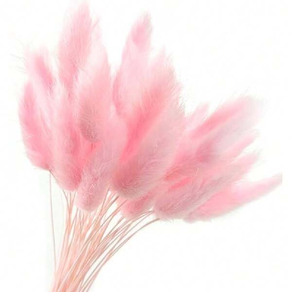 60/120 stuks natuurlijke gedroogde Lagurus Bunny Tails-bos, voor boho-huizen, boerderijen, bruiloften, feestdecoraties, herfstdecoraties en herfst.