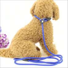 Museau de chien en plastique souple, nouveau museau de chien en plastique anti-morsure, masque pour animaux de compagnie
