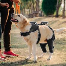 Dog Acl Knee Brace For Torn Acl Leg,Luxating Patella,Dog Knee Braces For Back Leg Warm Joint And Relieves Joint Pain,Better Recovery With Dog Acl Knee Brace(XL) - 藍白色 - 查看 3