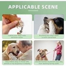 Dog Lift Harness For Senior Dogs And Medium Dogs, Walkabout Harness For Dogs For Hip Dysplasia, Arthritis, Full Body Dog Lift Harness Help Loss Of Stability Dogs Walk XS - 黑色 - 查看 3