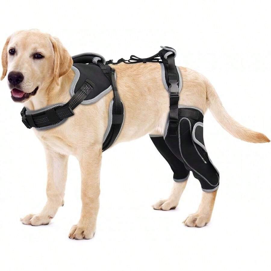 Dog Acl Knee Brace For Torn Acl Leg,Luxating Patella,Dog Knee Braces For Back Leg Warm Joint And Relieves Joint Pain,Better Recovery With Dog Acl Knee Brace(XL) - 藍白色 - 查看 1
