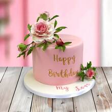 66 piezas Juego de sellos de plástico para imprimir en pasteles, incluye letras mayúsculas y minúsculas, números y símbolos para escribir mensajes en tartas de cumpleaños DIY