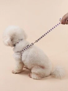 1 Set Polyester Cute Heart Pattern Collar, Chest Harness & Leash Suit For Small Dogs Like Teddy & Poodle, Suitable For Outdoor Use