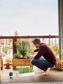 1 pieza/2 piezas/3 piezas Caja de plantas de hierba para gatos Maceta para mascotas para gatitos Recipiente reutilizable para snack de gato, cultivo hidropónico de catnip, invernadero (sin semillas) - Multicolor - Ver 8