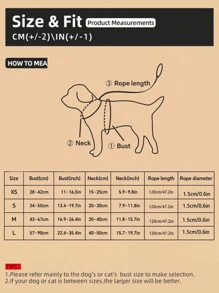 1 Set Polyester Cute Heart Pattern Collar, Chest Harness & Leash Suit For Small Dogs Like Teddy & Poodle, Suitable For Outdoor Use