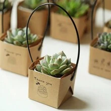 Conjunto de 20 caixas de presente para suculentas, sacos de papel kraft, materiais de embalagem para presentes, ideal para casamento, presente criativo para professores, embalagem para o Dia de Ação de Graças e Dia dos Namorados - Caqui - Ver 2