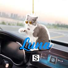 LICVIC 1 phụ kiện treo xe bằng Acrylic tùy chỉnh, treo xe có ảnh cá nhân, đồ trang trí ảnh xe tùy chỉnh, đồ trang trí ảnh xe cá nhân, móc treo xe bằng Acrylic cá nhân, kỷ niệm ảnh xe cá nhân, ngày lễ tình nhân, ngày của mẹ, sinh nhật, ngày của trẻ em, ngày của cha, tốt nghiệp - Phong cách 2 - Xem 9