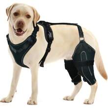 Dog Acl Knee Brace For Torn Acl Leg,Luxating Patella,Dog Knee Braces For Back Leg Warm Joint And Relieves Joint Pain,Better Recovery With Dog Acl Knee Brace(XL) - 藍白色 - 查看 8