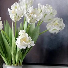 3pcs Parrot Tulip Artificial Flowers, Real Touch, Long Stems, Suitable For Bedroom, Living Room, Dining Room, Office, Cafe Tabletop, Home Decor, Aesthetics, Room Decoration, Wedding Party, DIY Spring Festival New Year Decor, Spring/Summer Decor, Premium Elegant Synthetic Tulips Easter Gifts Birthday Graduation