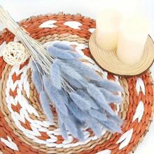 60/100 pezzi di fiori secchi di Lagurus Ovatus soffici di colore blu chiaro, coda di coniglio, per decorazioni boho in casa, matrimoni, tavolo da pranzo, raduni di fattoria, regali per feste, compleanni, lauree, decorazioni autunnali
