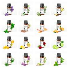 EVOKE OCCU EVOKE OCCU 10 ml / 0,33 Fl.Oz. reine ätherische Öle, Lavendel Jasmin Rose Vanille Pfefferminz Neroli Orange Limette ätherische Öle zum Diffuser, Luftbefeuchter, Massage, Haut, Haare, Kerzen, Seifenherstellung, DIY Parfüm