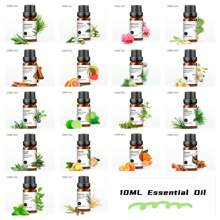 EVOKE OCCU EVOKE OCCU 10 ml / 0,33 Fl.Oz. reine ätherische Öle, Lavendel Jasmin Rose Vanille Pfefferminz Neroli Orange Limette ätherische Öle zum Diffuser, Luftbefeuchter, Massage, Haut, Haare, Kerzen, Seifenherstellung, DIY Parfüm