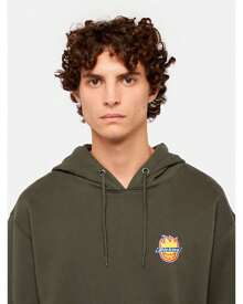 DICKIES Dickies X Spitfire Hoodie Olive - Khaki - View 3