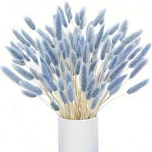 60/100 pezzi di fiori secchi di Lagurus Ovatus soffici di colore blu chiaro, coda di coniglio, per decorazioni boho in casa, matrimoni, tavolo da pranzo, raduni di fattoria, regali per feste, compleanni, lauree, decorazioni autunnali