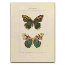 1pc Abstract Nordic Retro Animals Art Canvas Painting Butterfly Insect Evolution Posters Wall Arts Pictures For Home Decor No Framed - Multicolor - View 63