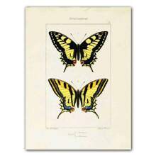 1pc Abstract Nordic Retro Animals Art Canvas Painting Butterfly Insect Evolution Posters Wall Arts Pictures For Home Decor No Framed - Multicolor - View 47
