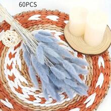 60/100 pezzi di fiori secchi di Lagurus Ovatus soffici di colore blu chiaro, coda di coniglio, per decorazioni boho in casa, matrimoni, tavolo da pranzo, raduni di fattoria, regali per feste, compleanni, lauree, decorazioni autunnali